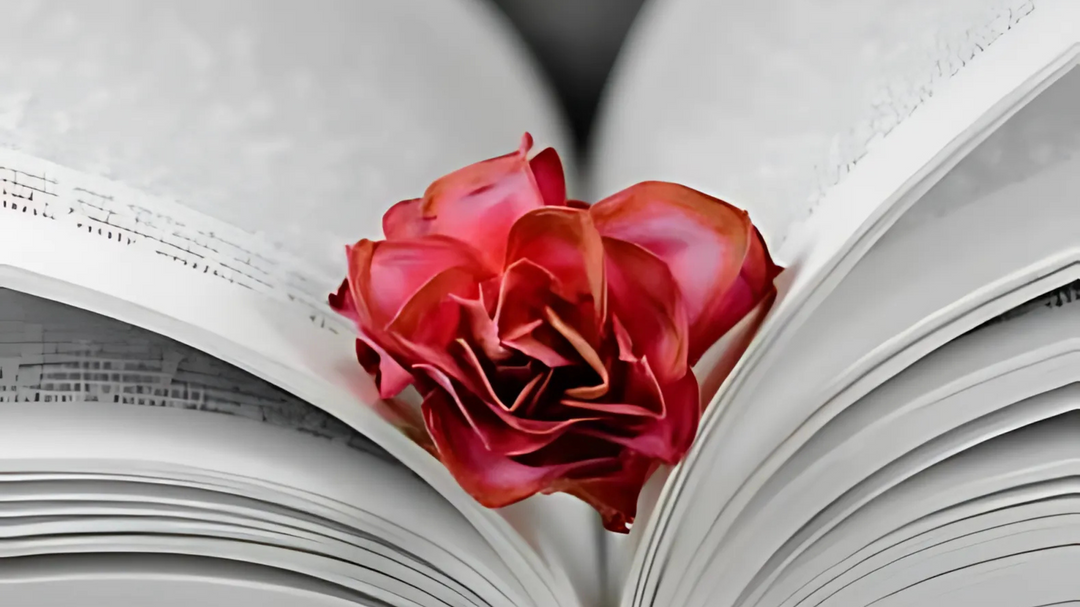 A close-up of an open book with a vibrant red rose placed between the pages, creating a delicate contrast against the printed text.